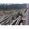 2004 Barko 495ML Log Loader