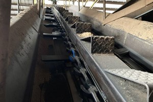 Patz 12in x 36ft  Conveyors-Barn Sweep
