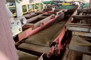 Mellott Slab Dump with Cant Pusher  Conveyor Deck (Log Lumber)