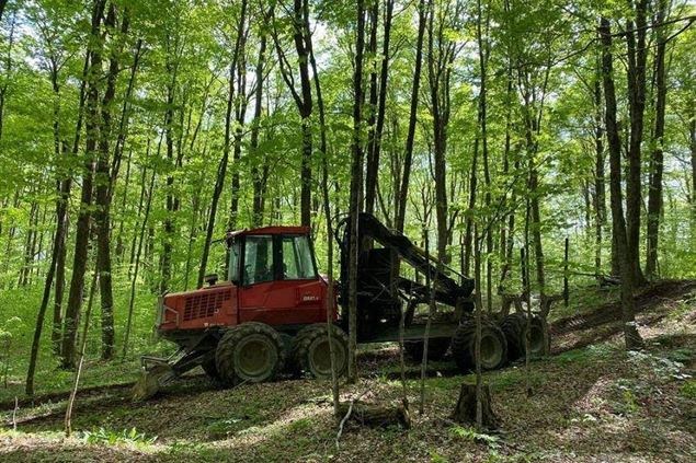Valmet For Sale | Lumbermenonline.com