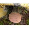 Caterpillar Logging Attachment