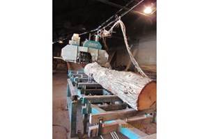 Wood-Mizer LT300  Band Mill Thin Kerf