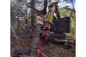 2015 Komatsu Xt430-3  Feller Buncher