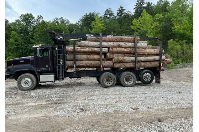 1999 International Log Log Truck
