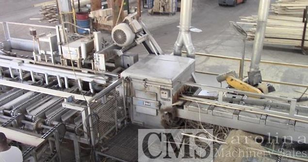 Paul AB920 Rip Saw with Infeed  Outfeed Gang Rip Saw