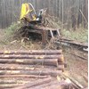 2011 Tigercat 234 Log Loader