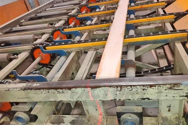 2006 Raimann KR-310 2M Gang Rip Saw
