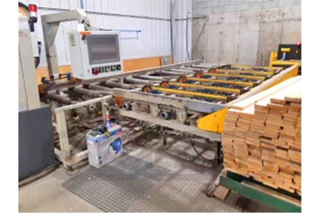 2006 Raimann KR-310 2M Gang Rip Saw