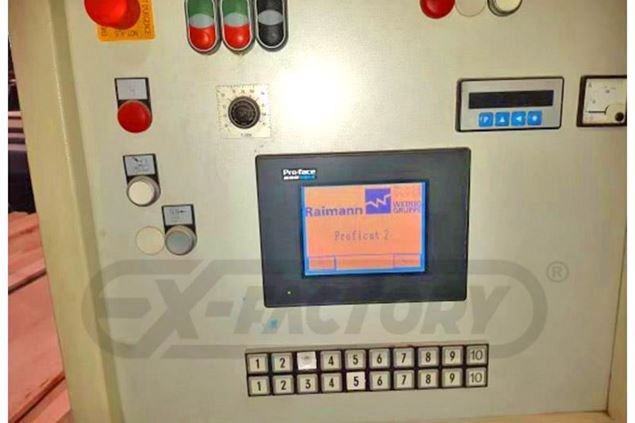 2006 Raimann KR-310 2M Gang Rip Saw