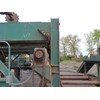 2000 Froedge 6 stacker Conveyor Deck (Log Lumber)