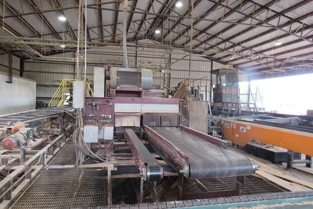 Cornell 848 Gang Edger