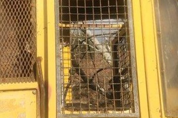 John Deere Skidder doors