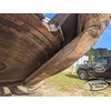 2018 Tigercat 720G Wheel Feller Buncher