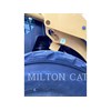 2021 Caterpillar 262D 3 Skidsteer