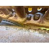 2005 Caterpillar 345CL Excavator