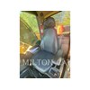 2005 Caterpillar 345CL Excavator