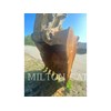 2005 Caterpillar 345CL Excavator