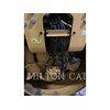 2020 Caterpillar CB13 Compactors