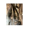 2003 John Deere CO. 444H Wheel Loader