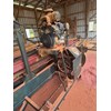Morgan single head Band Mill Thin Kerf