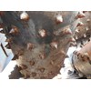 Morbark 640 Debarker