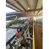 Morgan Tie Chop Saw Tie Processing
