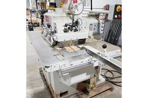 Cantek C-12RS  Straight Line Rip