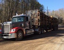 2006 Freightliner Coronada