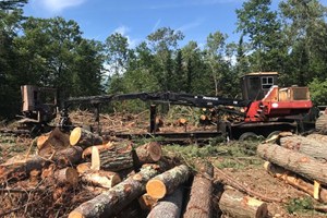 1995 Prentice 325  Log Loader