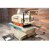 Extrema XG-12 Gang Rip Saw