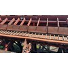Mellott Conveyor General