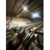 Unknown 5 Strand  Conveyor Deck (Log Lumber)