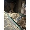 Webster Vibrating Conveyor