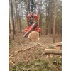 2016 TimberPro TF830C Forwarder