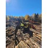 2016 TimberPro TF830C Forwarder