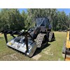 2025 Prinoth T-REX 300MT Mulch and Mowing
