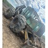 Timberjack 460D Skidder