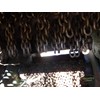 2016 Peterson 4800F Mobile Debarker