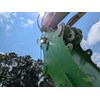 2016 Sennebogen 830E Log Loader