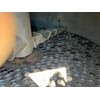 1999 MAC 120-MCF-572 Dust Collection System