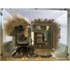 2008 Weeke BHP 200 Router