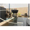 2017 Omal VELOX 1300 Glue Equipment