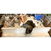 2004 Holytek SS-512TS Shaper