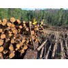 2022 Tigercat 234B Log Loader