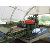Morgan Gas Powered Edger Board Edger