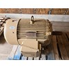 REM SH2452 Hogs and Wood Grinders