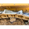 2023 John Deere 850L LGP Dozer