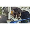2012 Peterson 5900 Mobile Wood Chipper