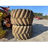 Maxam 73x44.00 Tires