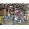 2019 Woodpecker Standard Jr Pallet Nailer and Assembly System
